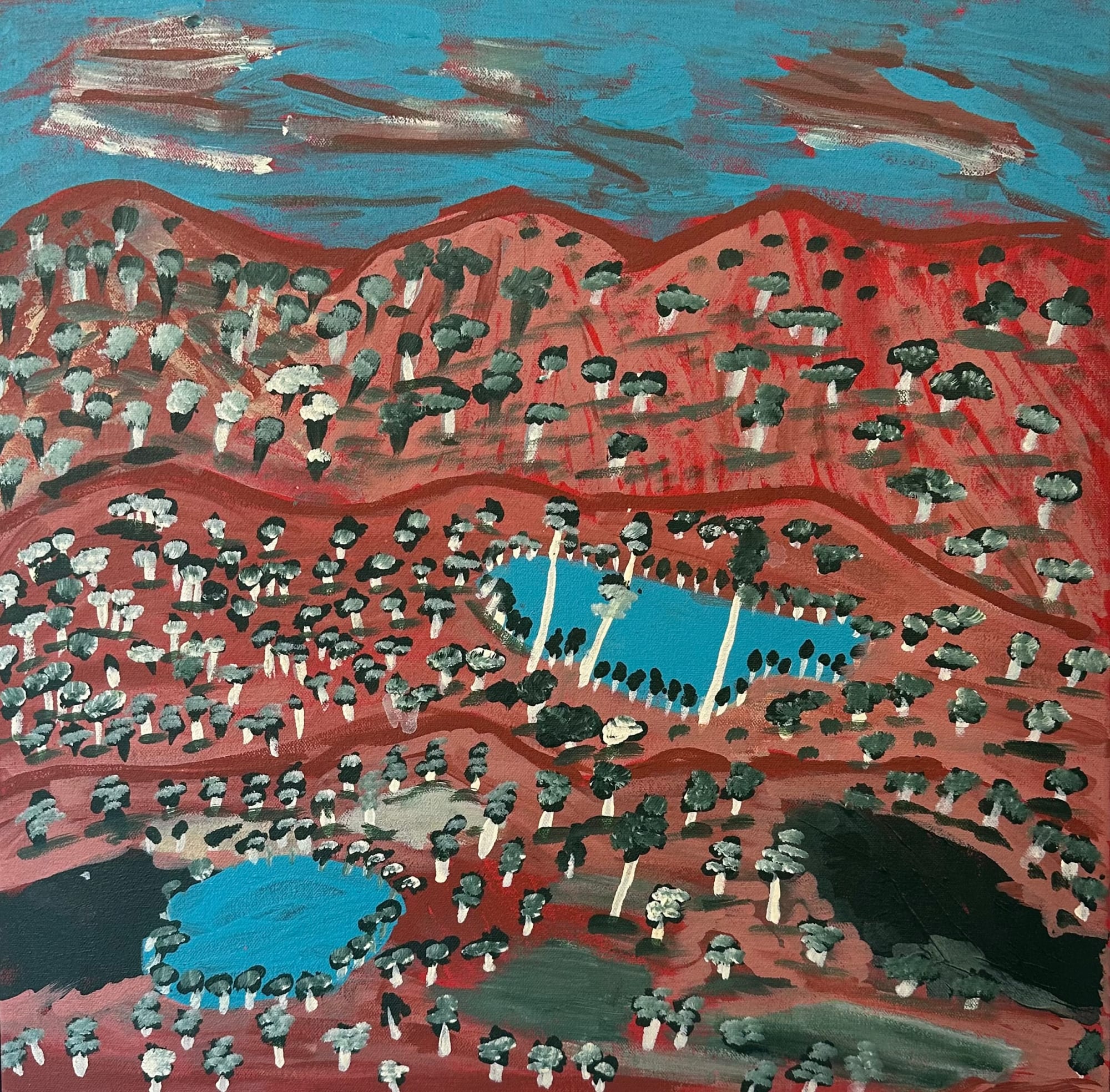 Aboriginal Art, Martha Nakamarra Poulson - Nguru Yurntumu-wana (Country around Yuendumu)