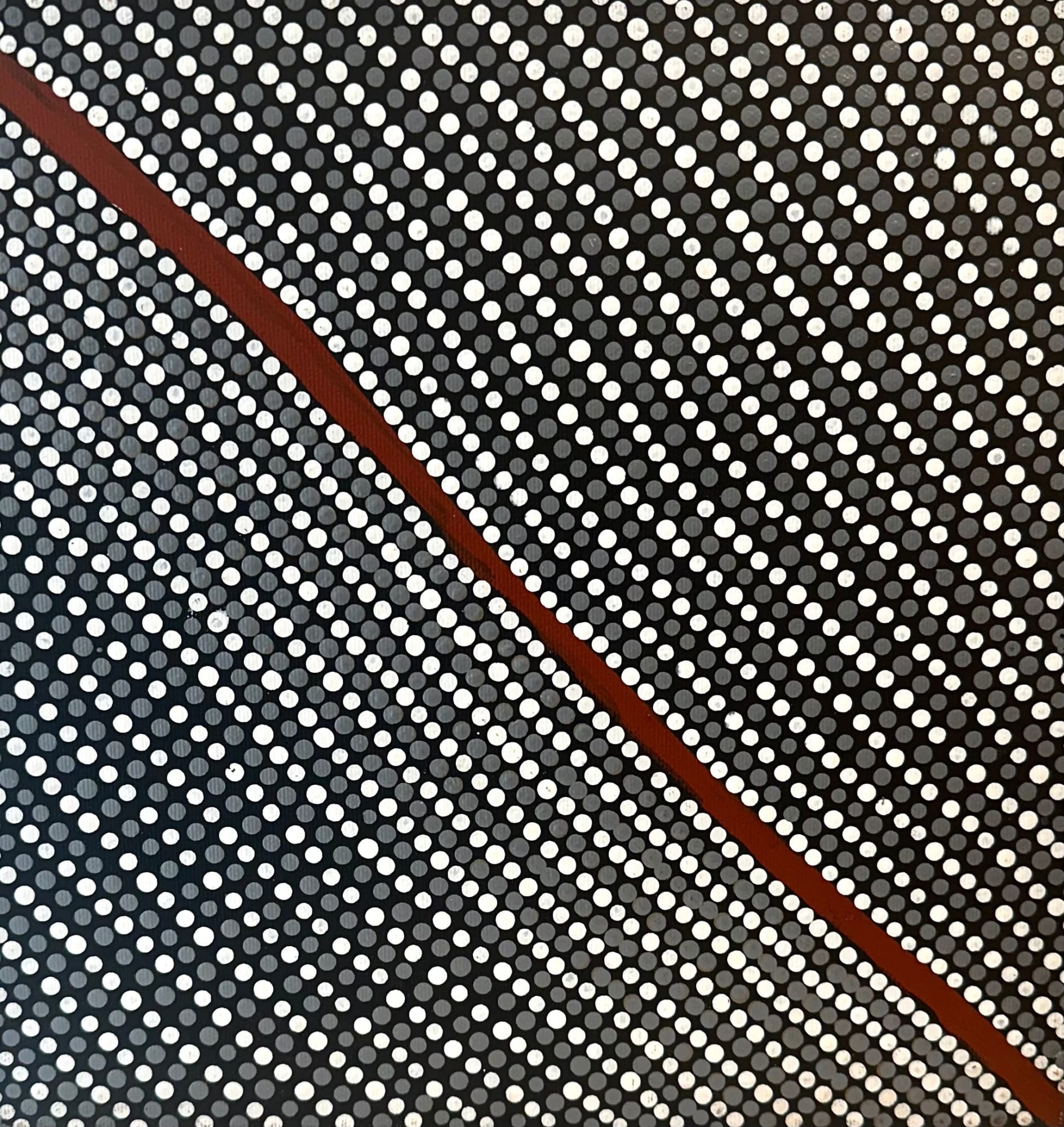 Aboriginal Art, Lorraine Napangardi Wheeler - Lukarrara Jukurrpa (Desert Fringe-rush Seed Dreaming), 2024