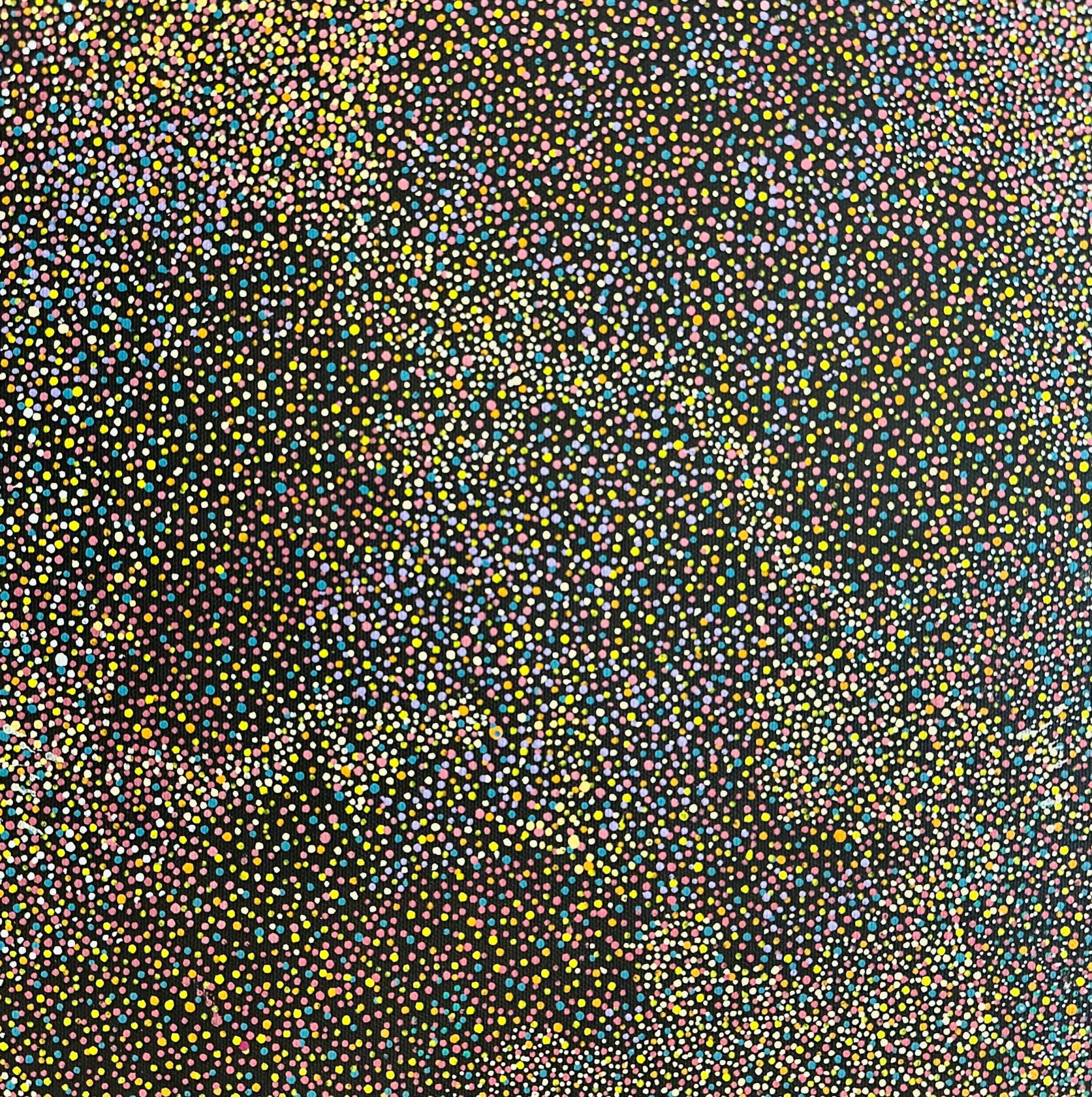 Aboriginal Art, Josie Kunoth Petyarre - Yam Seed