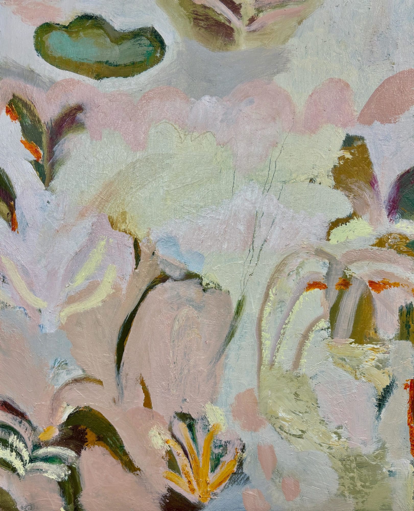 Dana Finch, Blanco, 2024