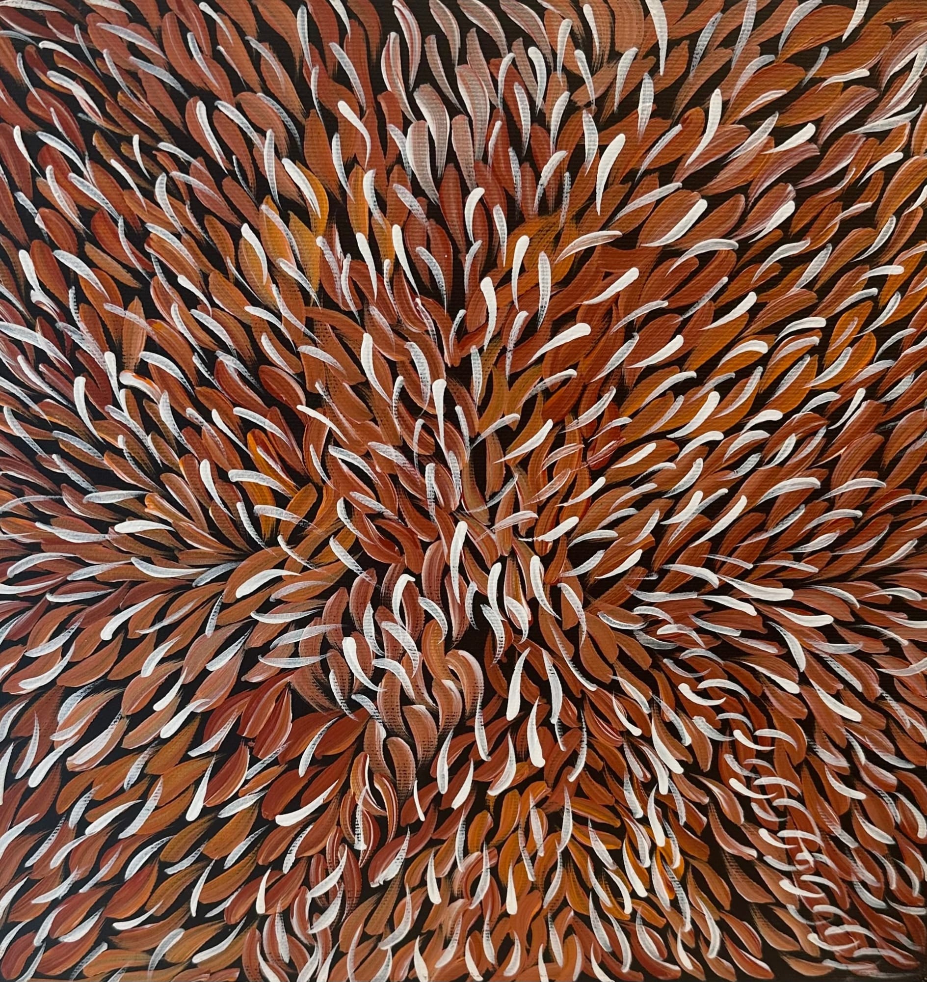 Aboriginal Art, Violet Napurrurla Malbunka - Warlukurlangu Jukurrpa (Fire Country Dreaming), 2024