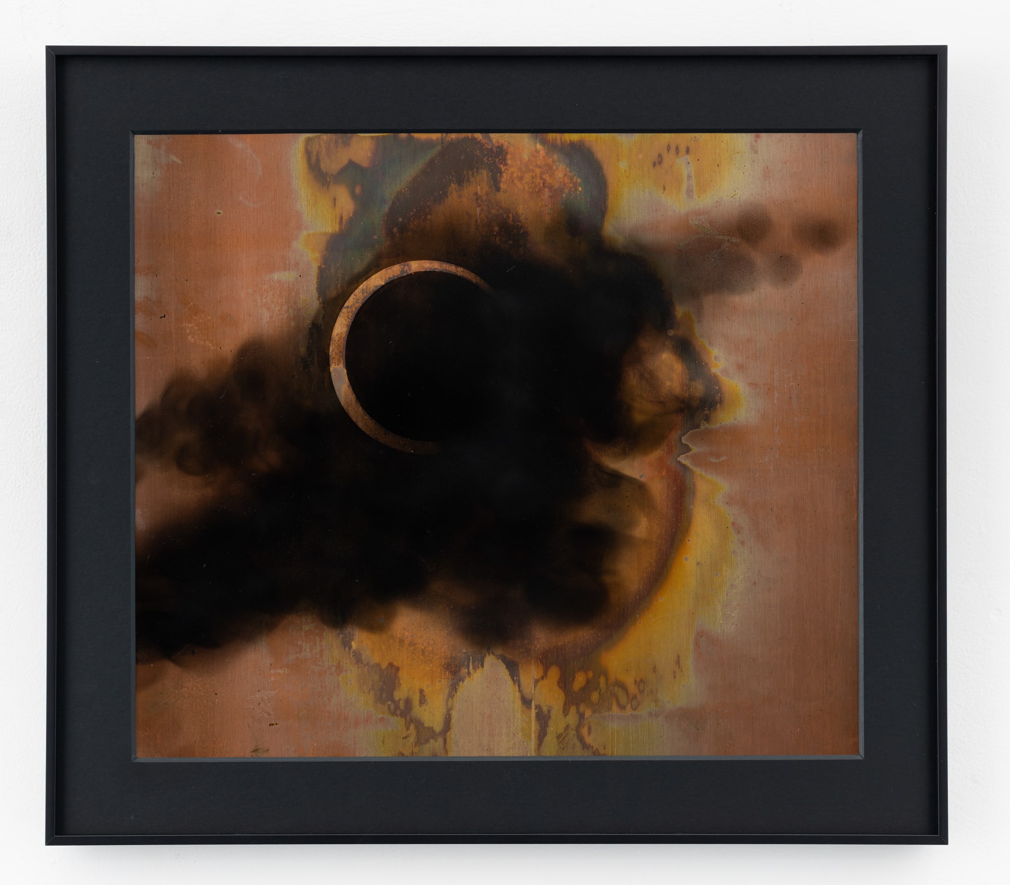 Rohini Devasher, Shadow Portrait 5, 2024