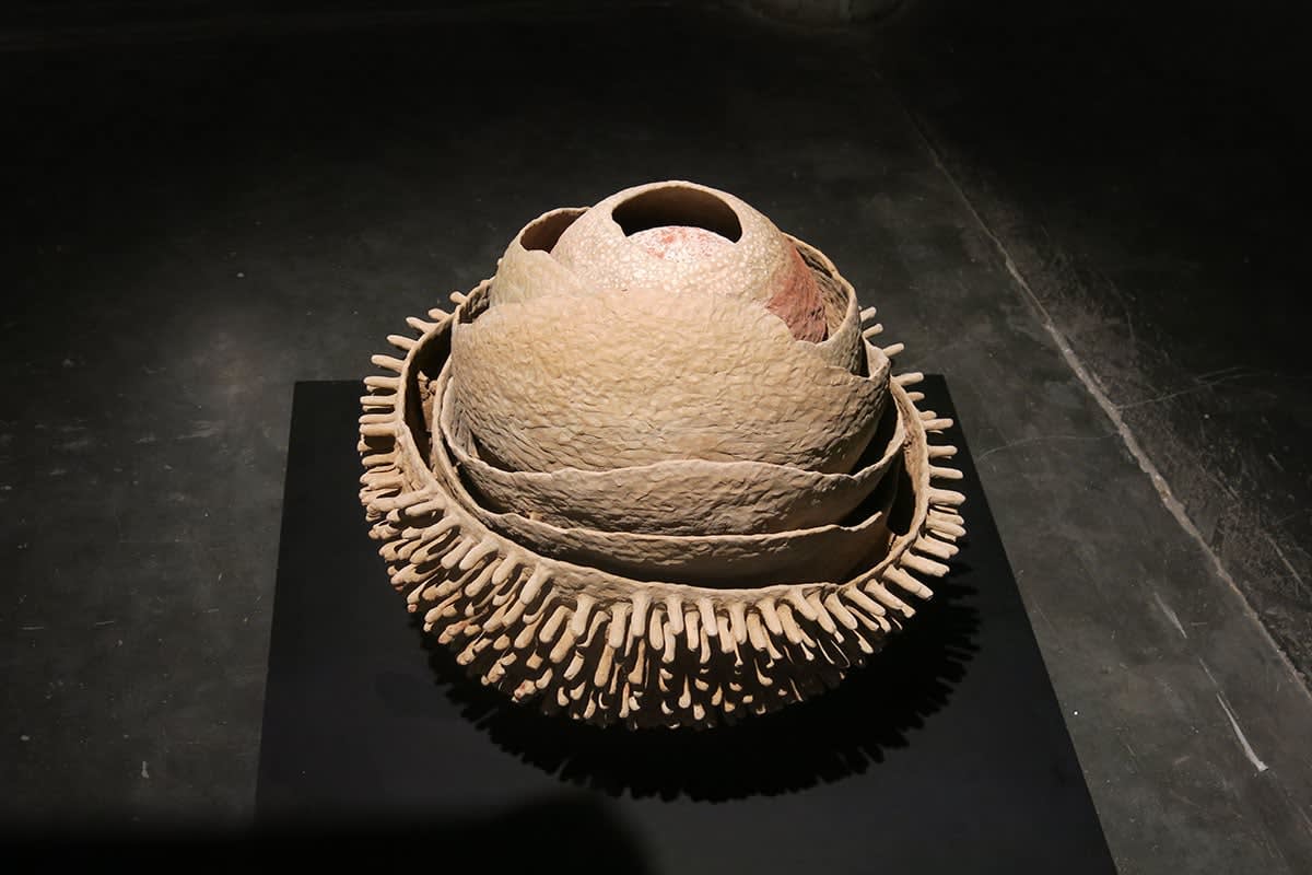 Khageswar Rout, Study of Things, Anthocephalus Kadamba, 2016