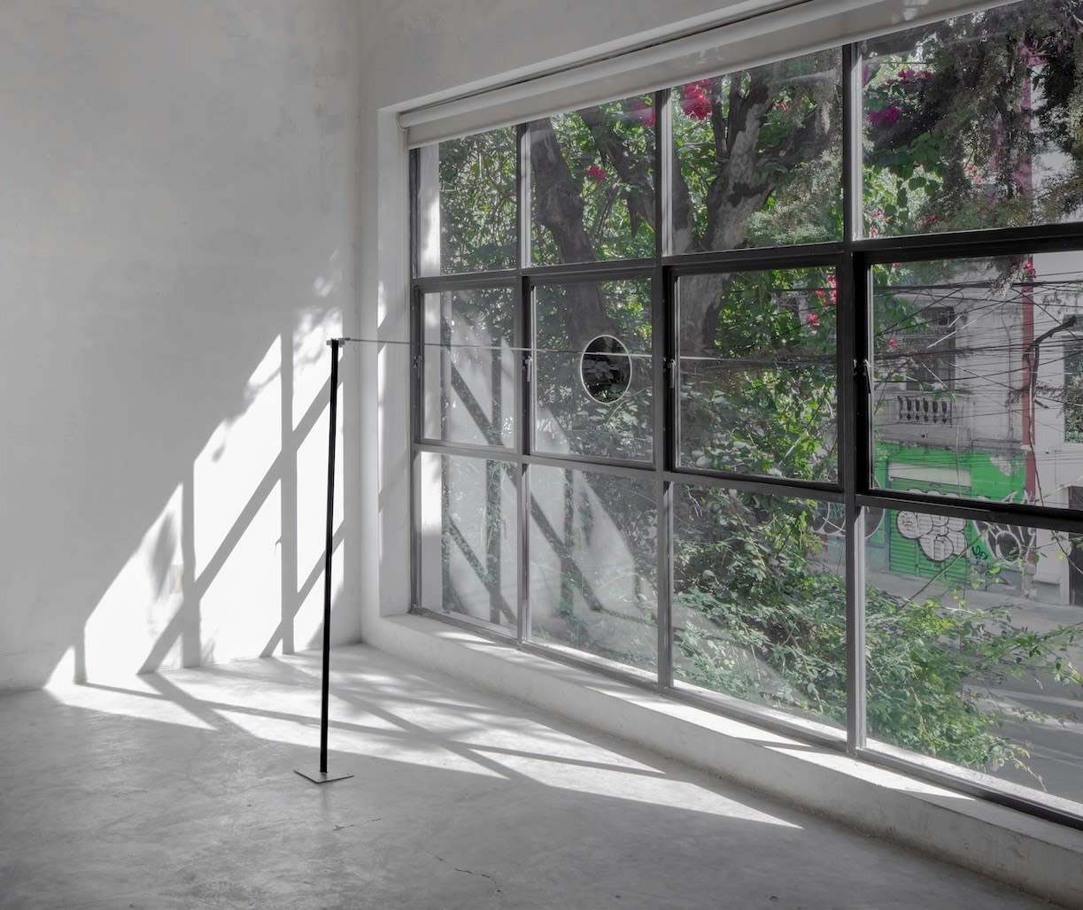 Manuela García, comedero para pájaros, 2024