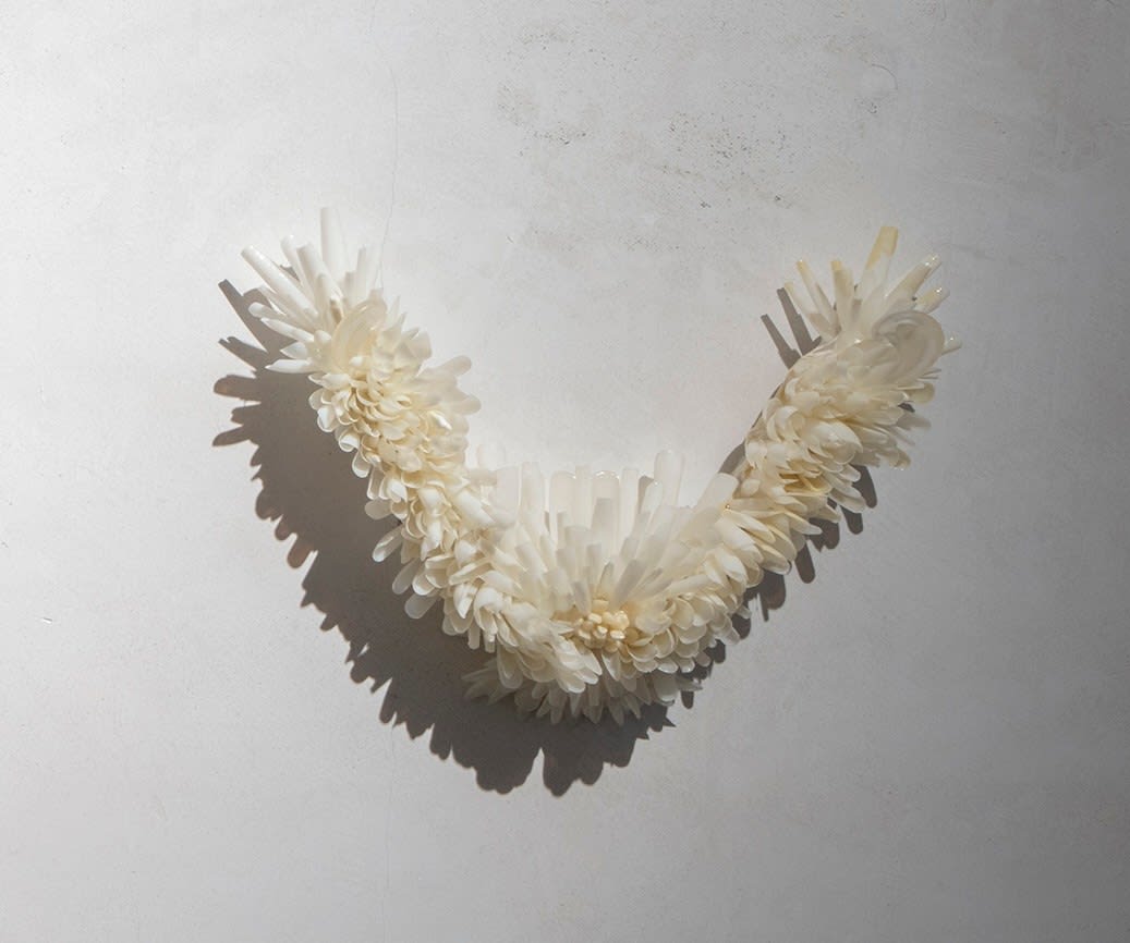 Sofía Nehring, I, 2025