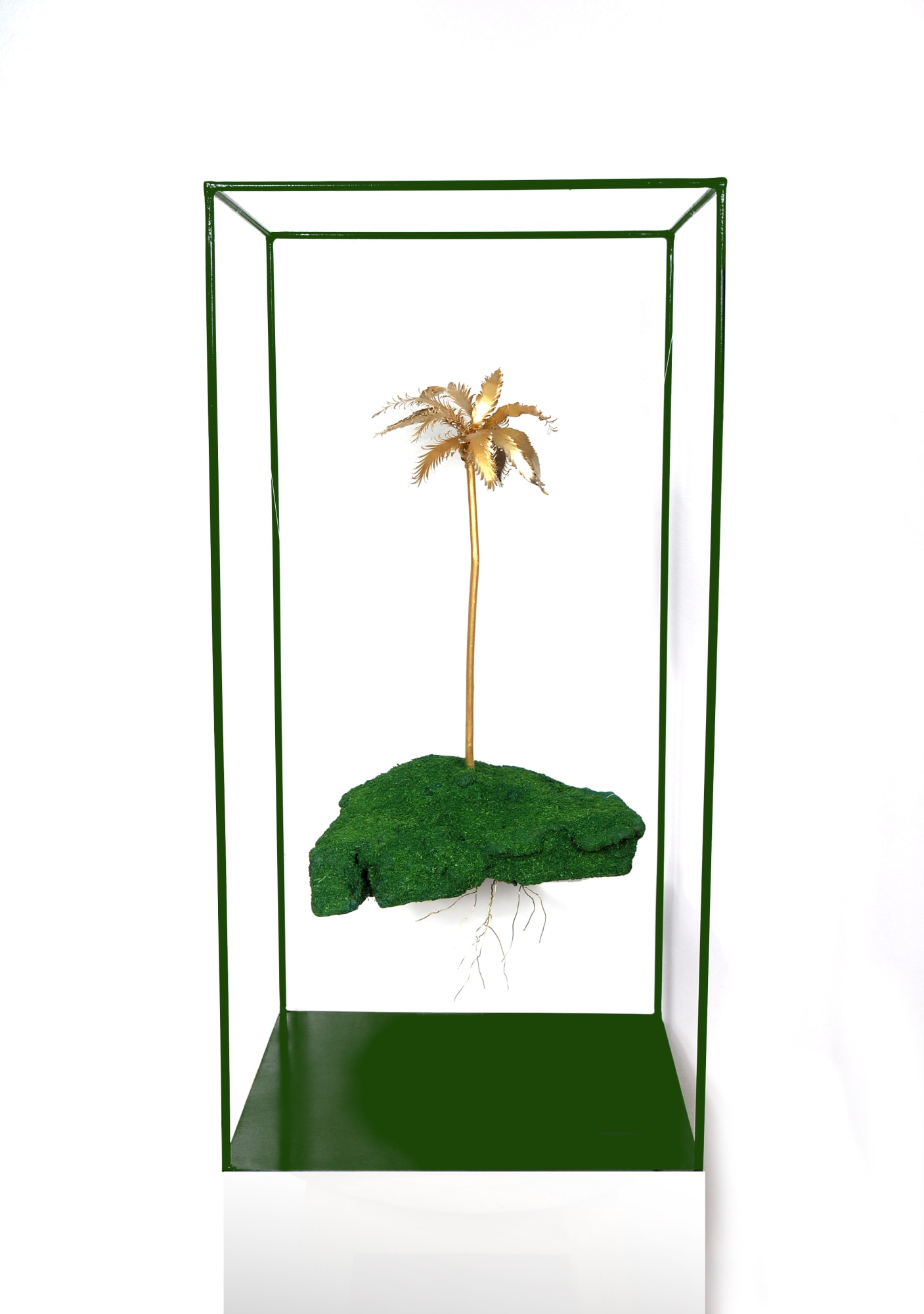 Houda Terjuman, Uprooted Palm, 2021