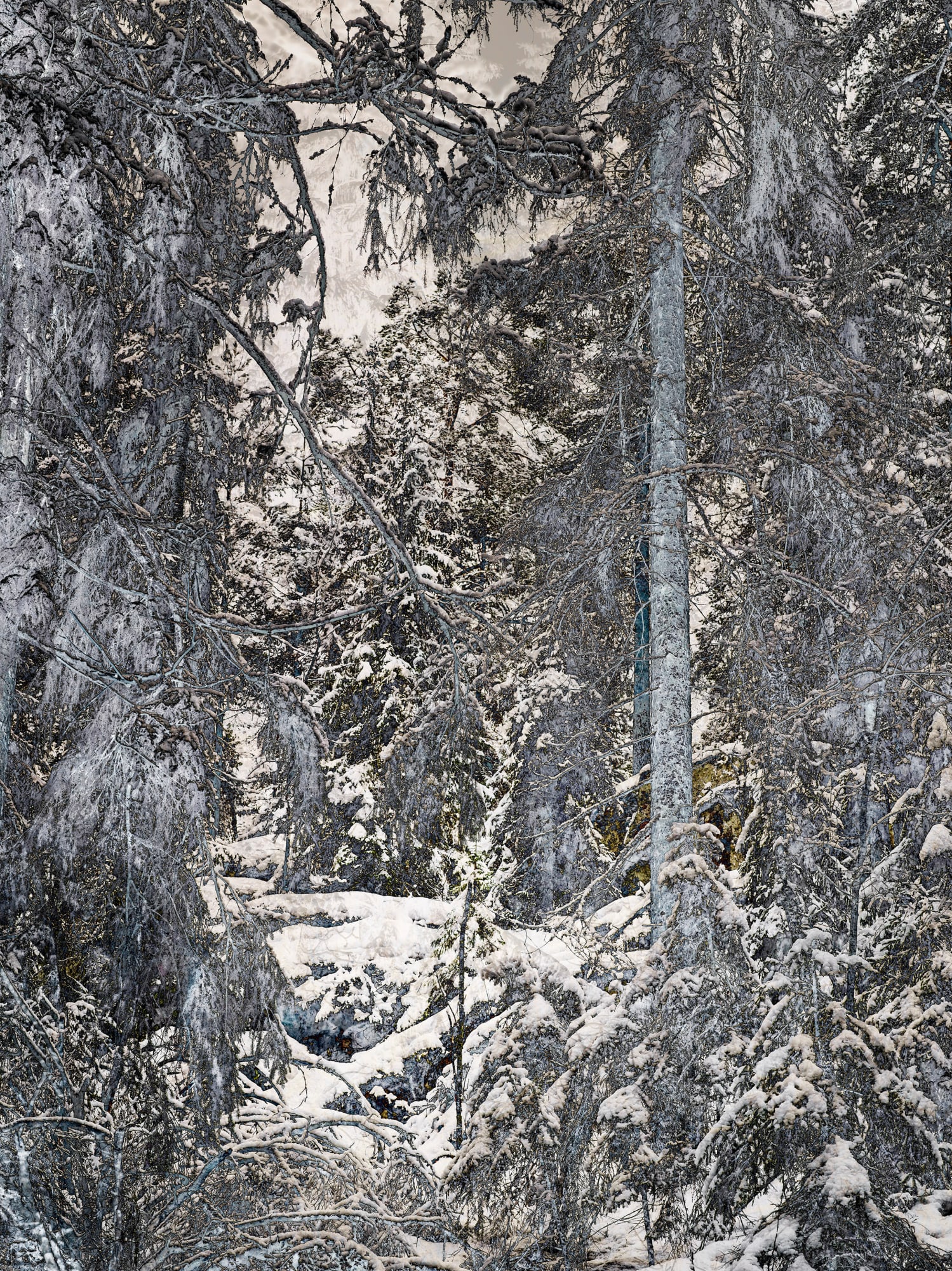 Santeri Tuori, Forest 53, 2023