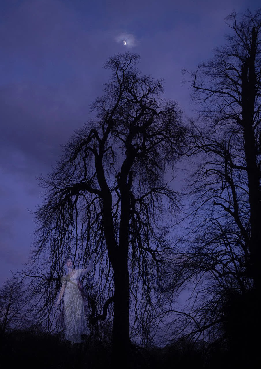 Tessa Traeger, Family Trees, No.21 Harriet, Duchess of Buccleuch in the moonlight under a horse chestnut tree, 2022
