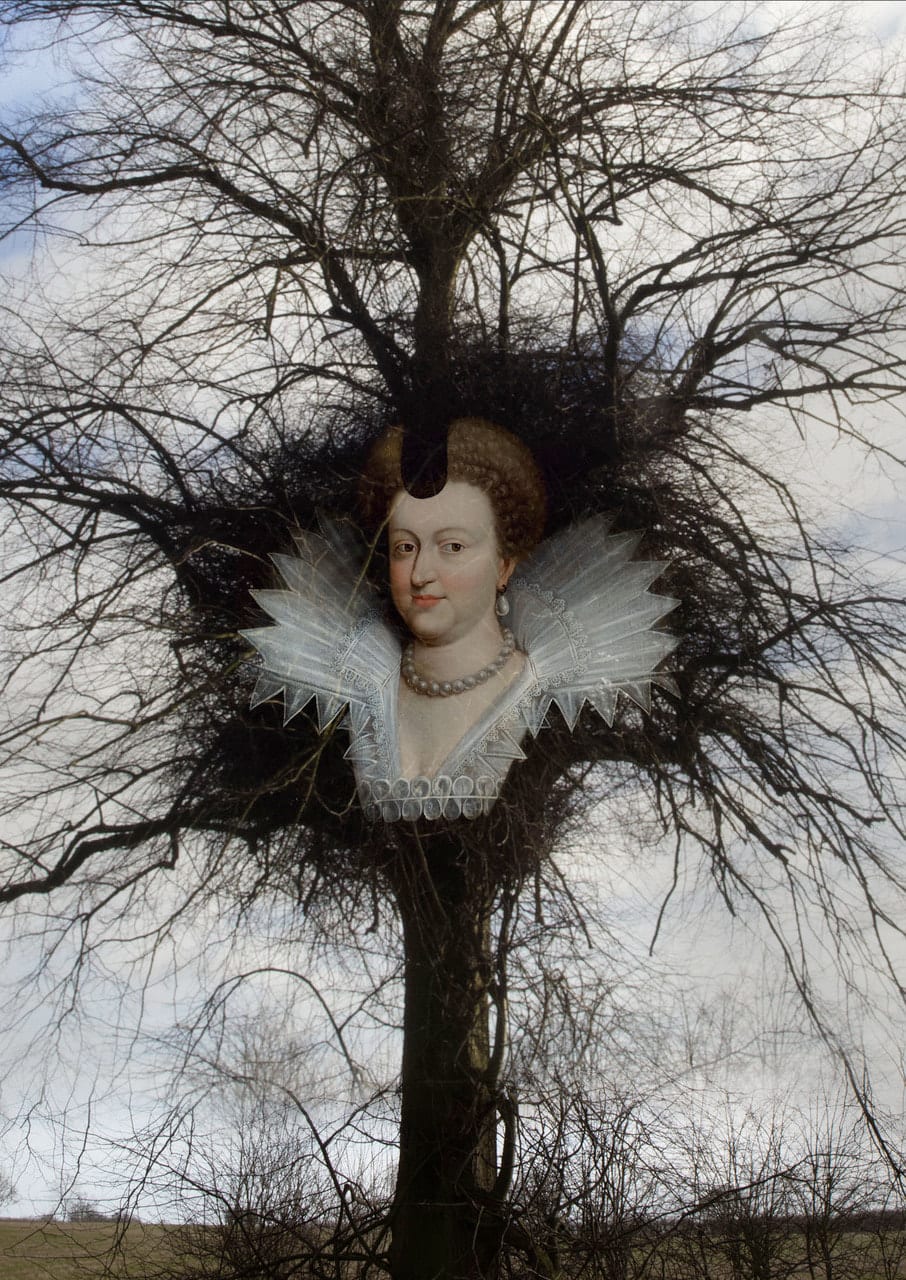 Tessa Traeger, Family Trees, No.19 Queen Marie de Medici , 2022