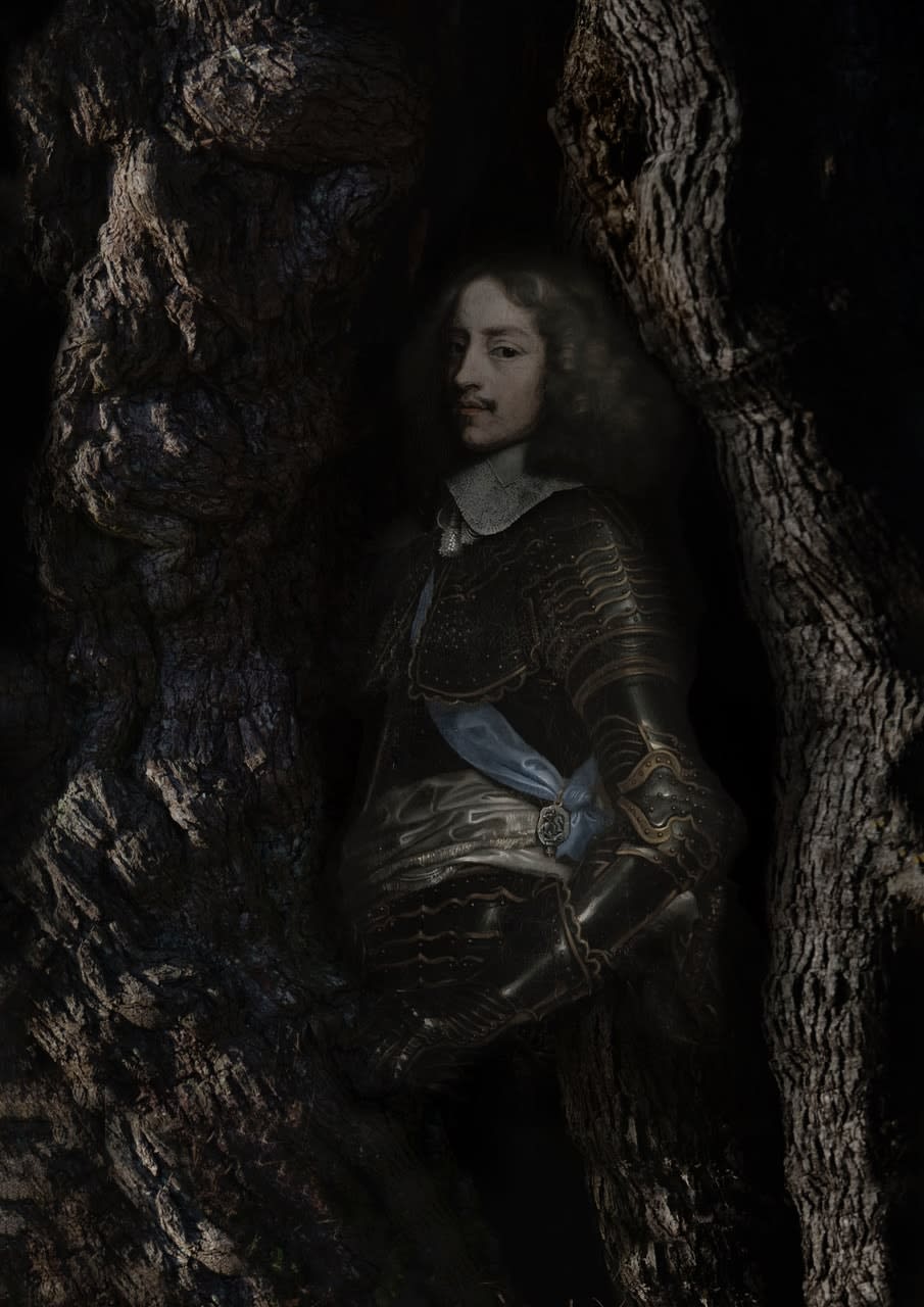 Tessa Traeger, Family Trees, No.8 George Digby in Ancient Oak Tree, 2022