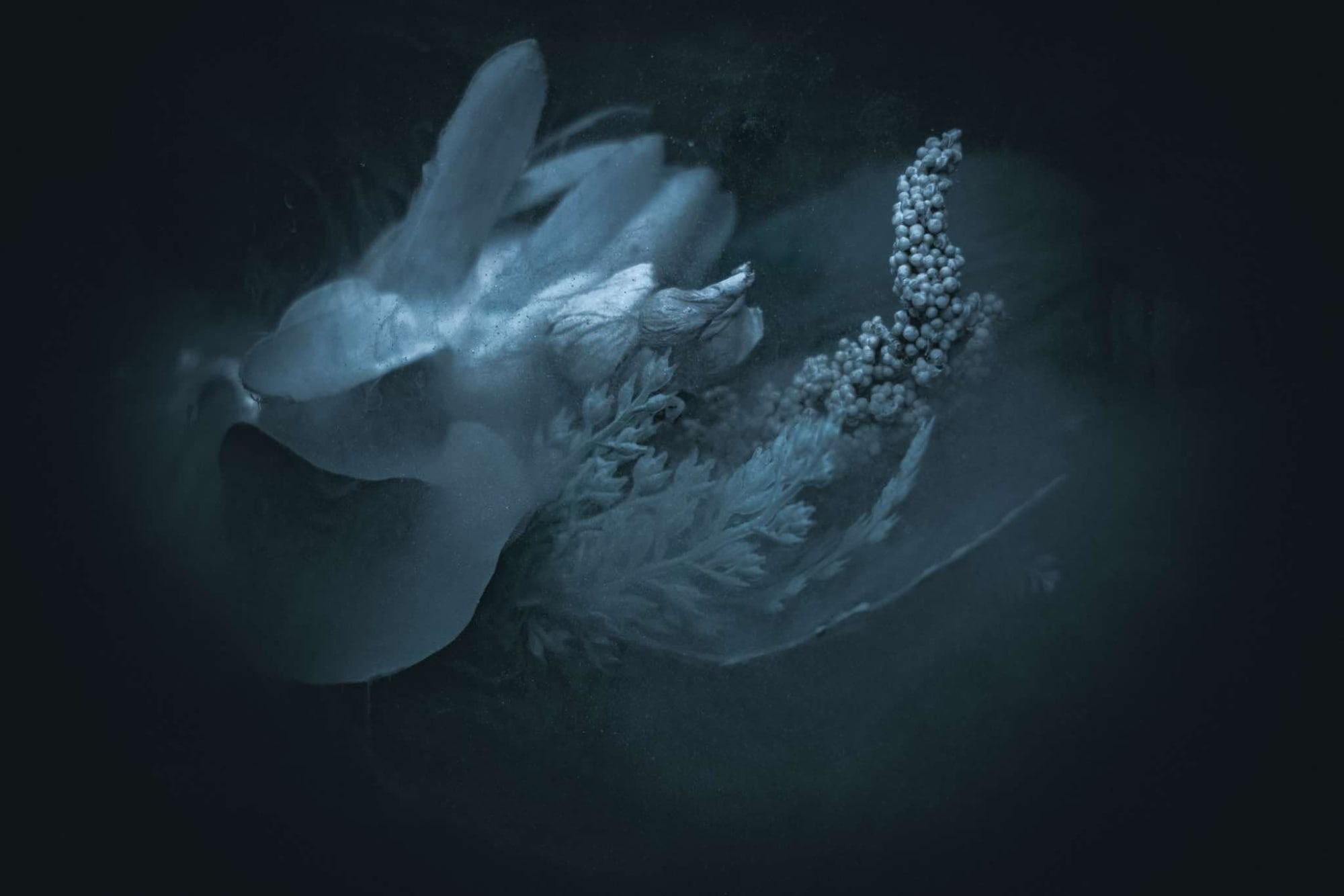 Pia Mercado, Nature's Abstract (Lapis), 2024