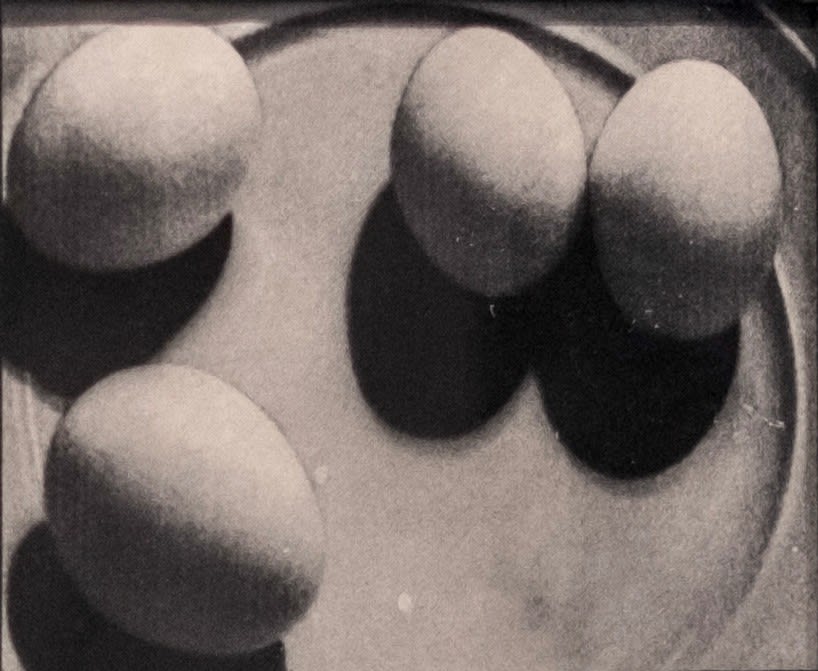 Jed Gregorio, Four Eggs on a Plate, 2024