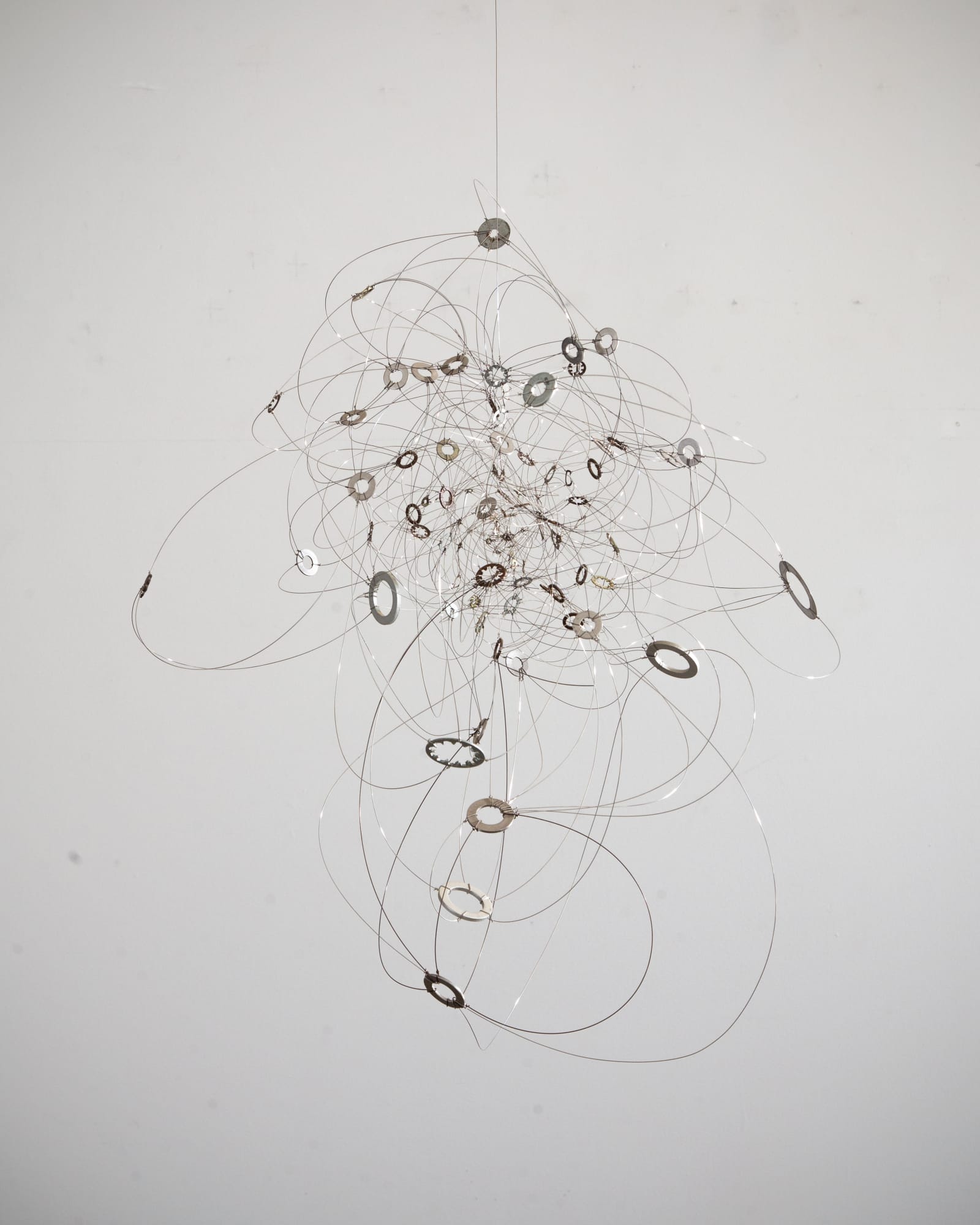 Anne Mudge, Net, 2019