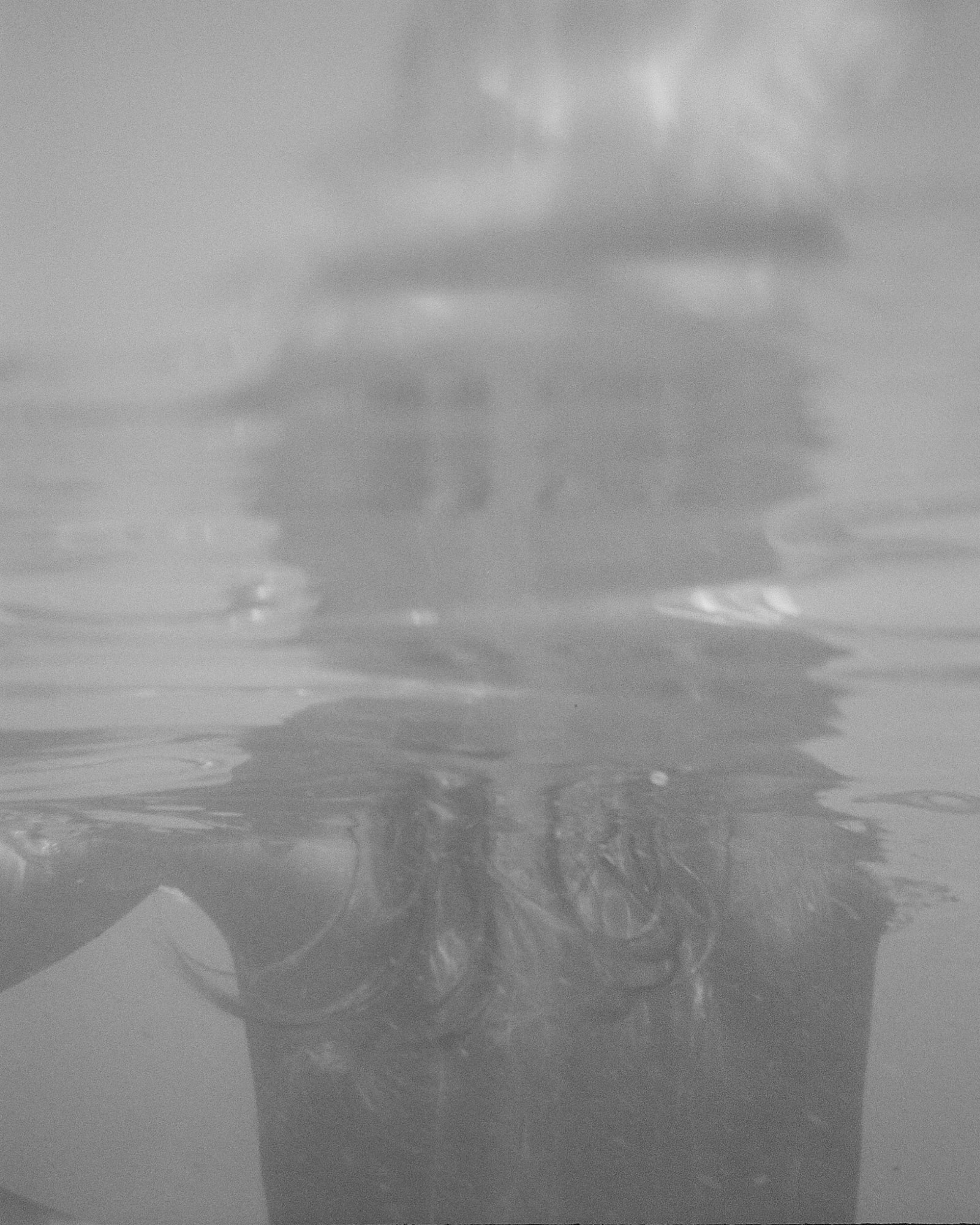 Liselore Chevalier, L'eau #1, 2023