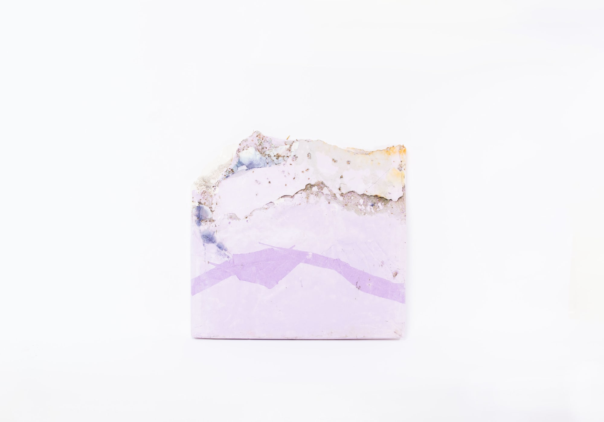 Esther Hoogendijk, Fading like a color in the landscape he loved