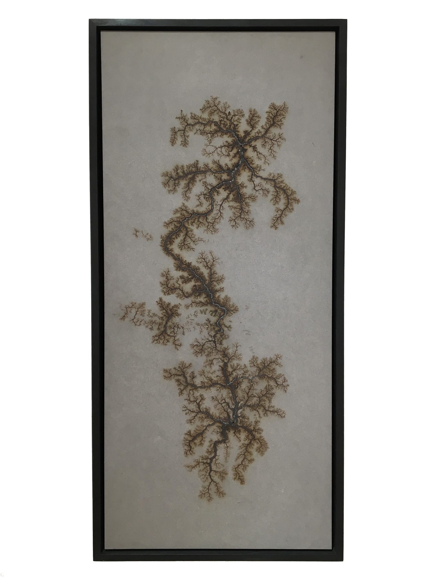 Douglas White, Lichtenberg Drawing III, 2017