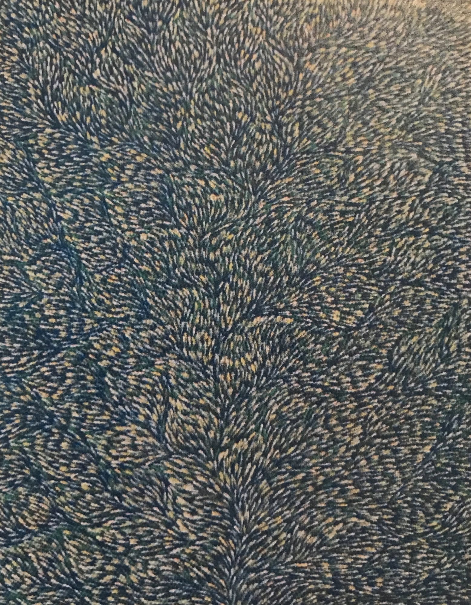 Gloria Tamerr Petyarr, Leafs, 2008