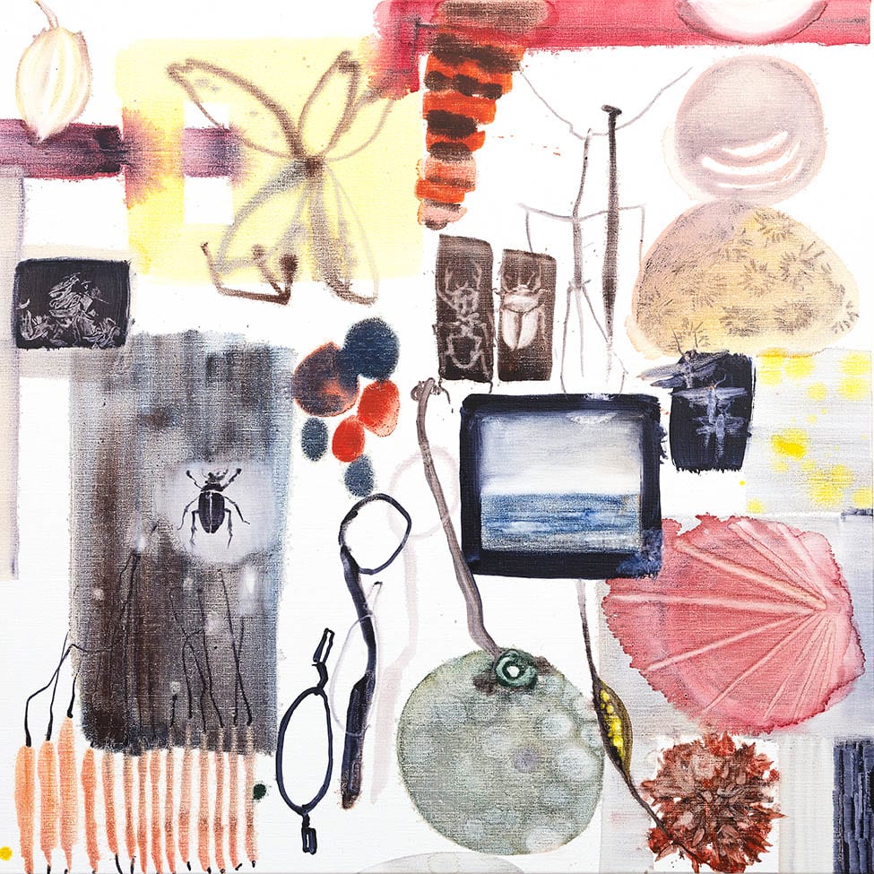 Allyson Reynolds, Pink shell, 2017