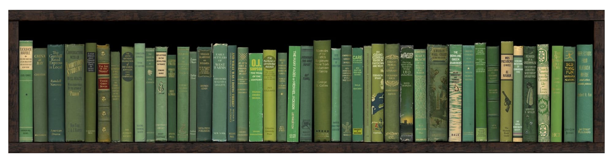 Phil Shaw, NYC Subway: Let's Take the 5 Train, 2013