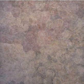 Sarah Morton Kngwarray, Sweet Fruits from lunita tree, 2008