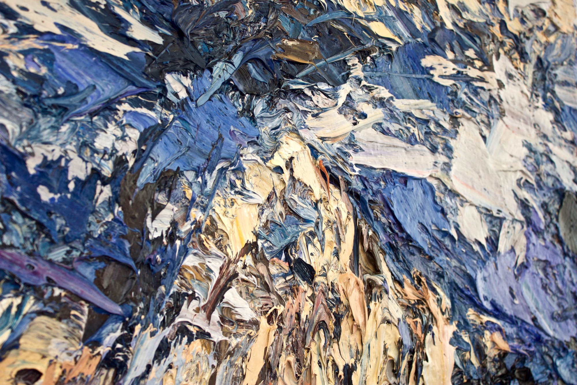 Holly Zandbergen, Darren Mountains, Fiordland (detail 2), 2017