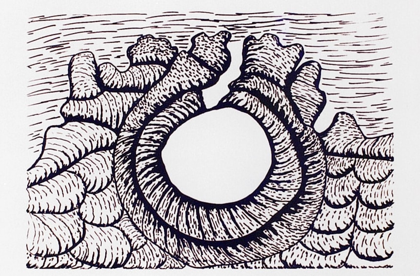 Jimmy Pike, Desert Rockhole, 1998