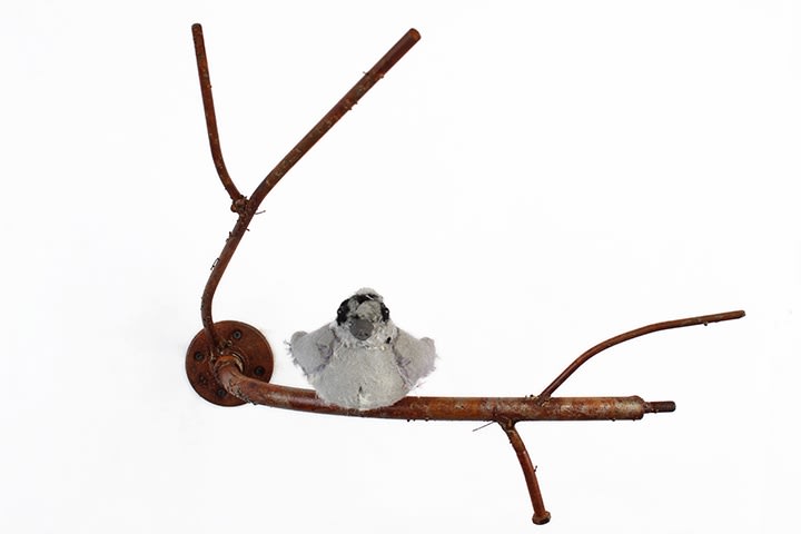 Ross Bonfanti, Perched c612, 2016