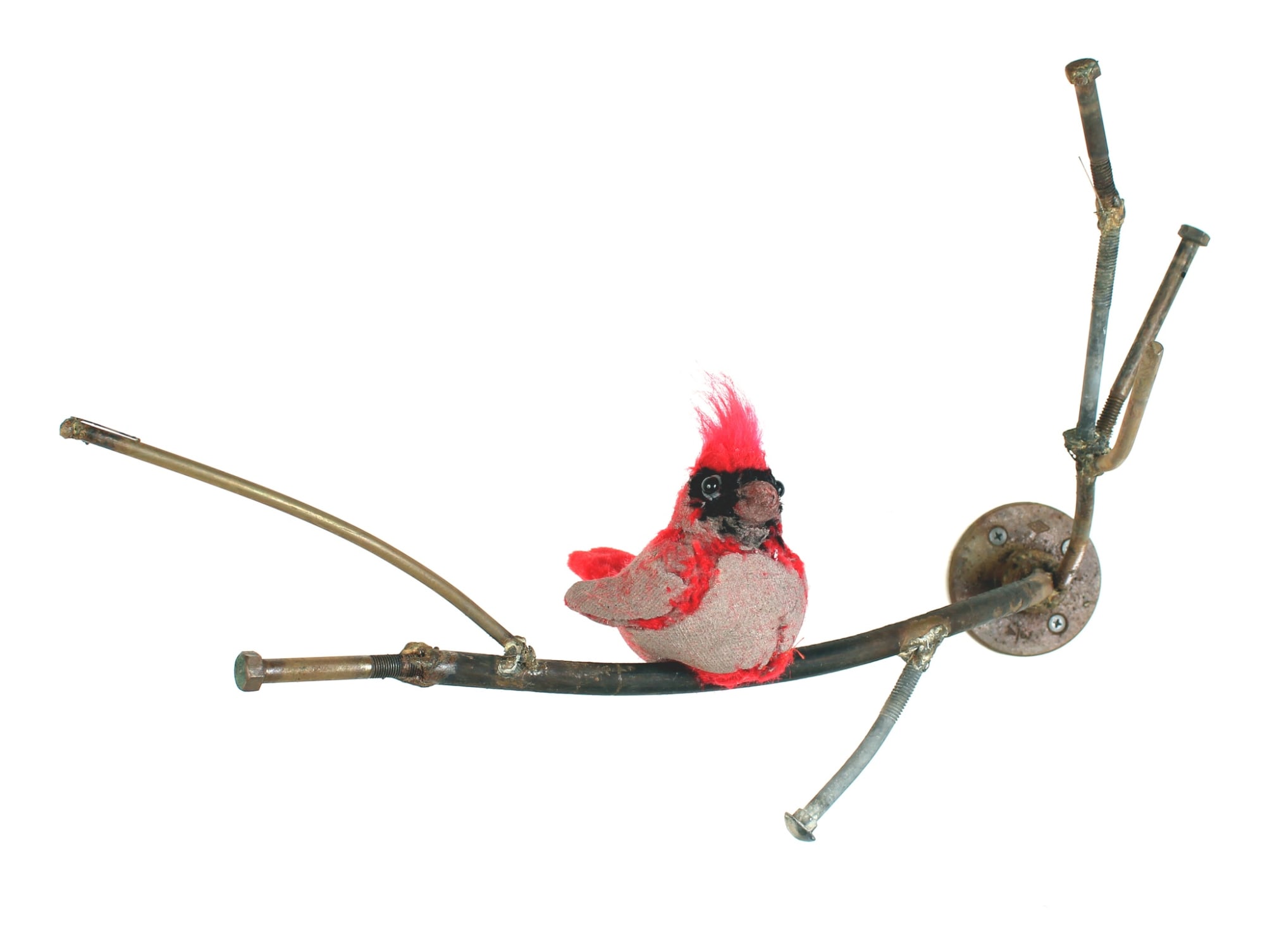 Ross Bonfanti, Perched 12, 2015