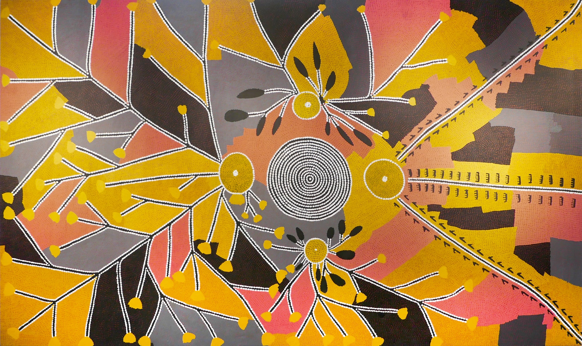 Billy Stockman Tjapaltjarri, Dreamings, 1985