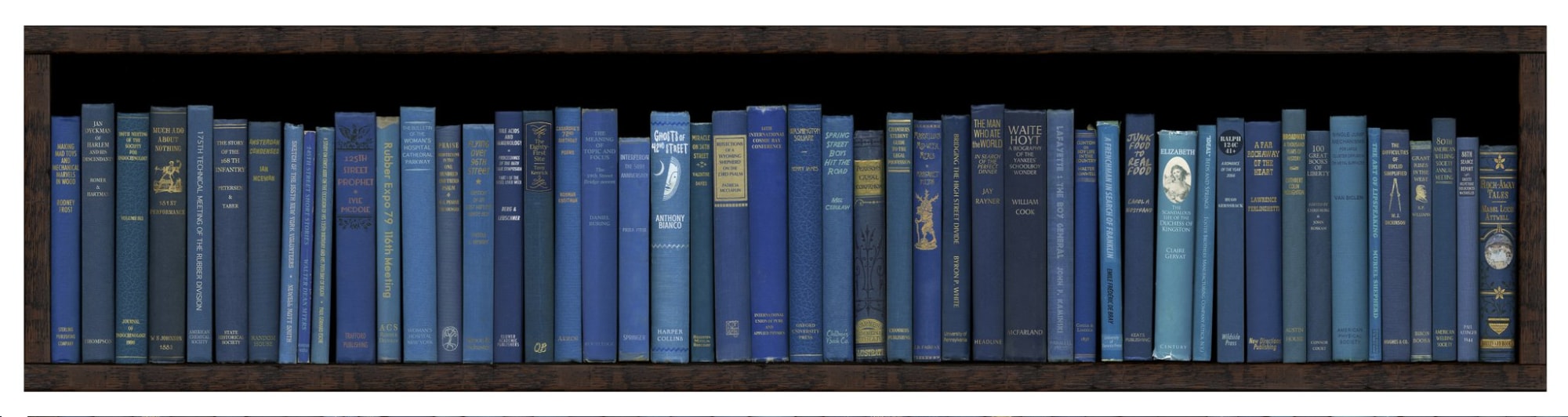 Phil Shaw, NYC Subway: Let's Take the A Train, 2013