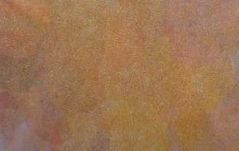 Angelina Ngal ('Pwerl'), Aharlper country, 2008