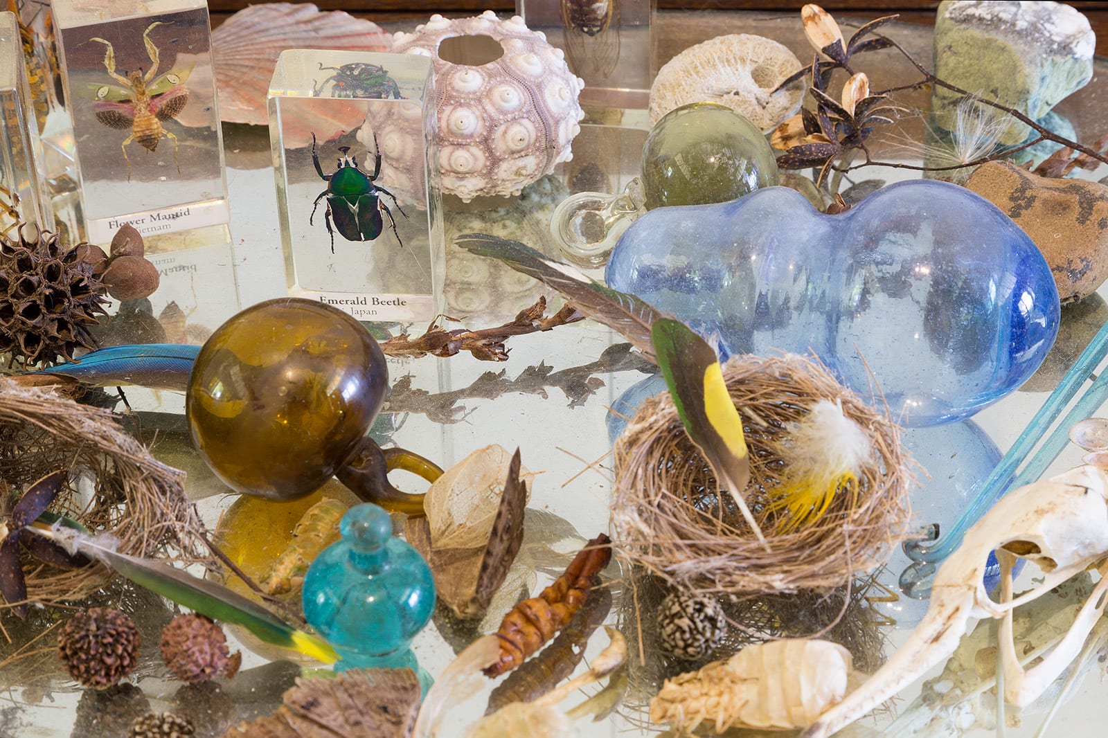 Allyson Reynolds, Studio Objects