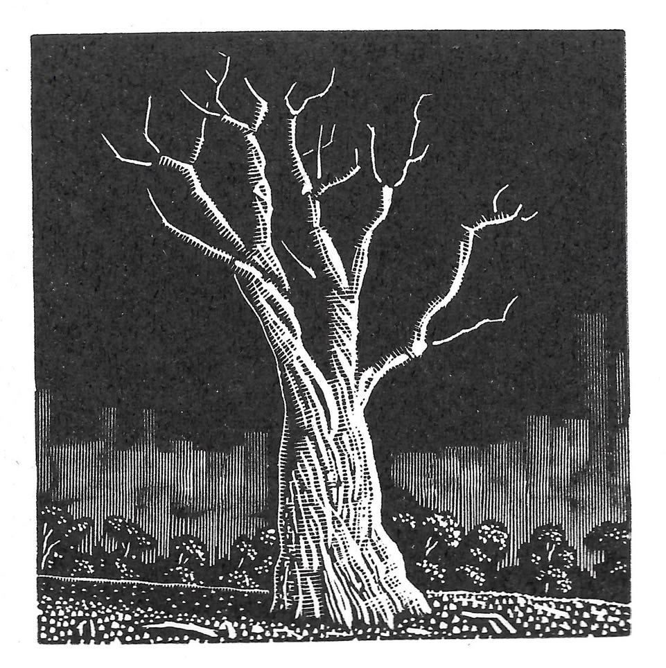 David Frazer, The Heavy Sky, 2020