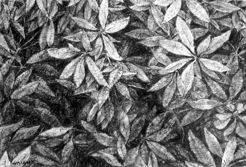 Roy Wright, Jigsaw, 2017