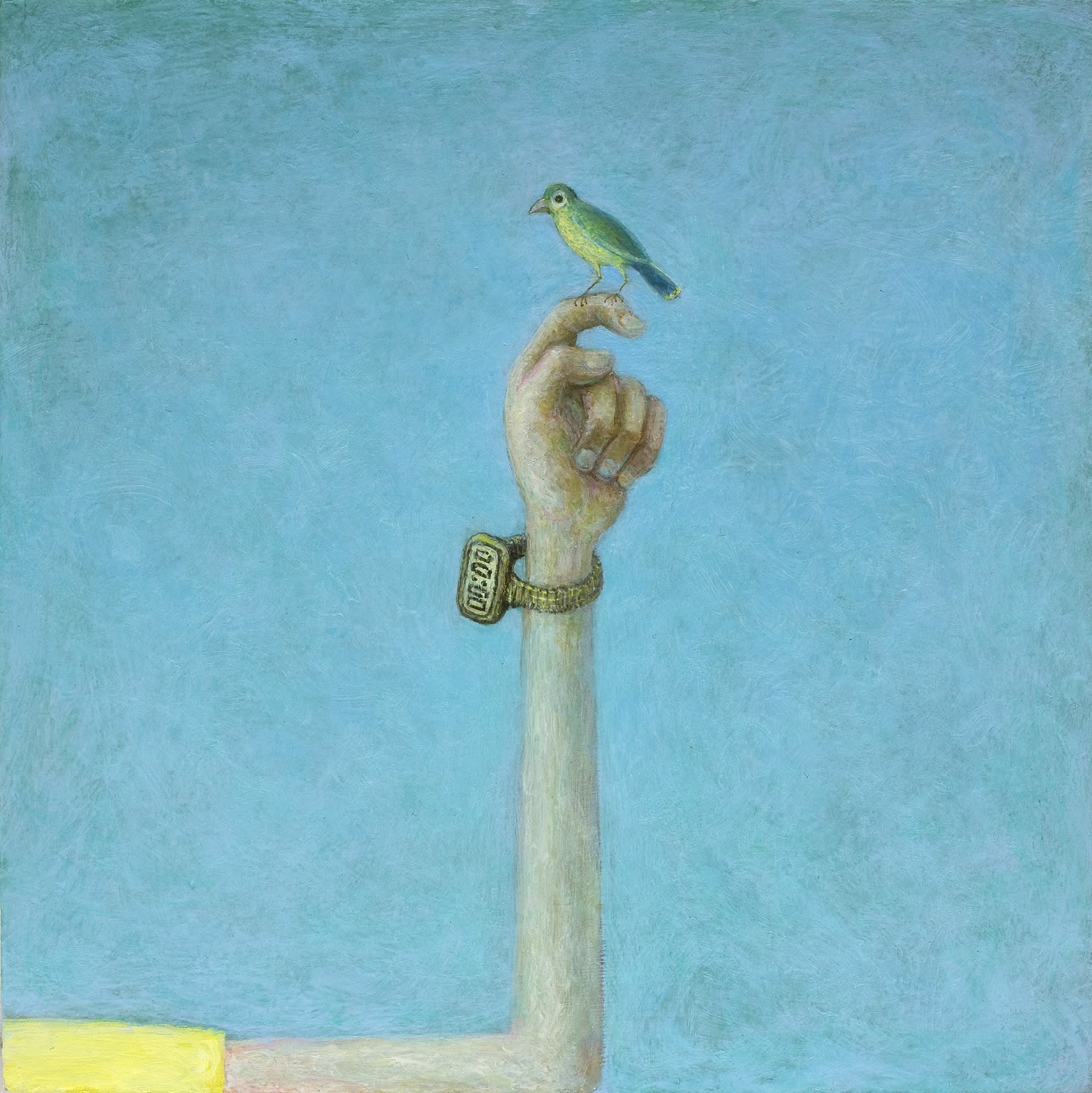 Alasdair Wallace, Twit, 2014