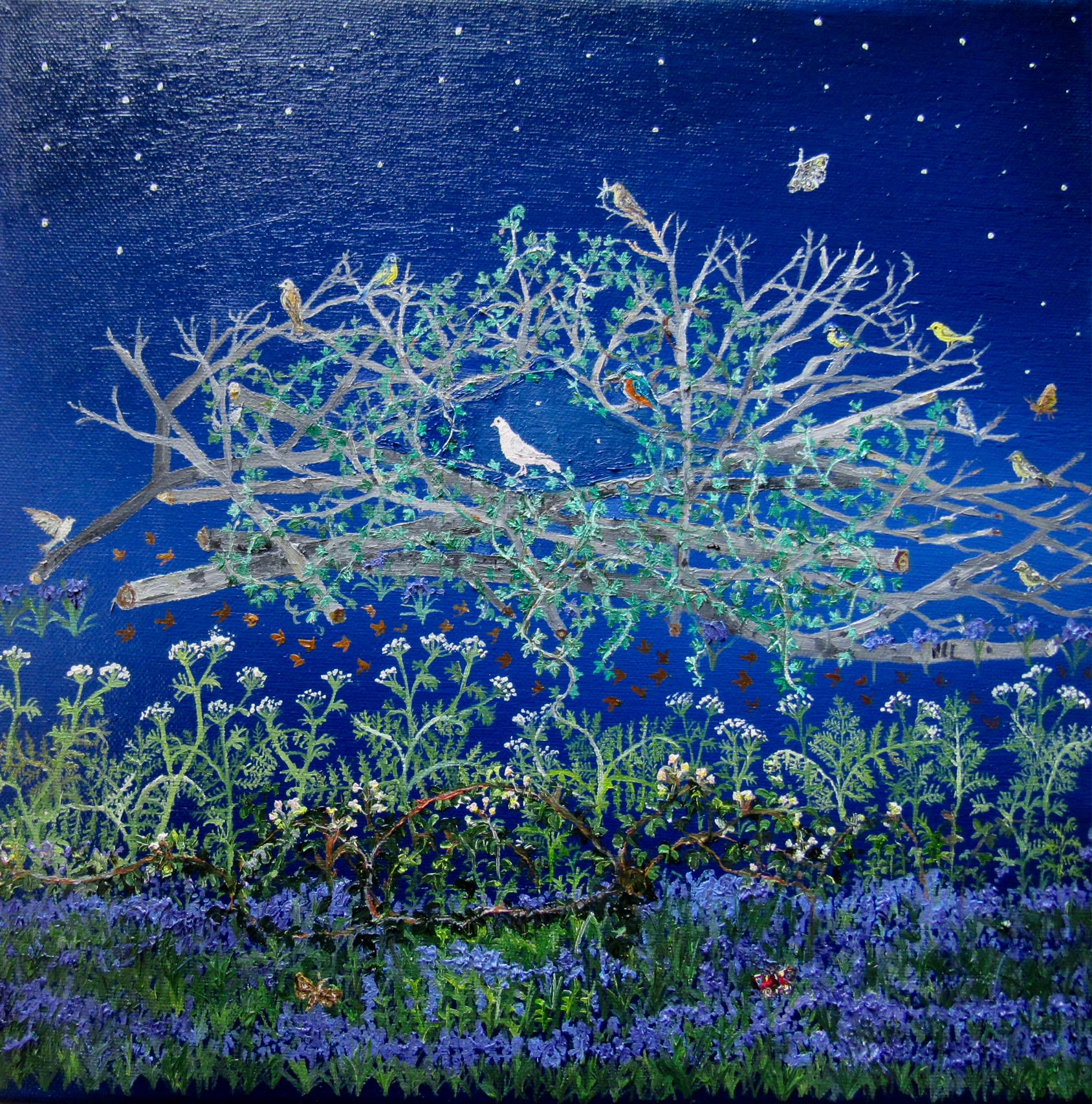 Emma Haworth, White Dove and Bluebells, 2017