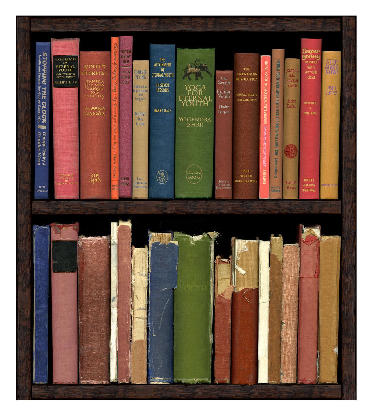 Phil Shaw, Eternal Youth, 2013