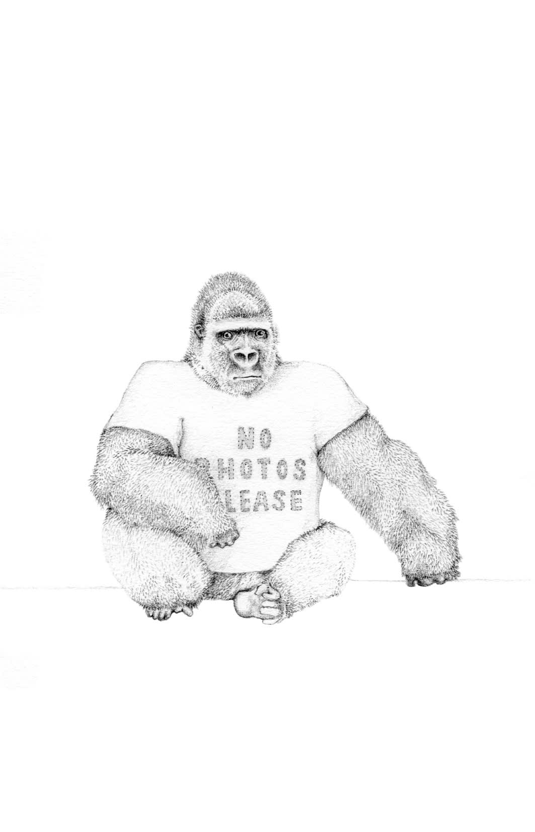 Jackie Case, No Photos Please, 2014