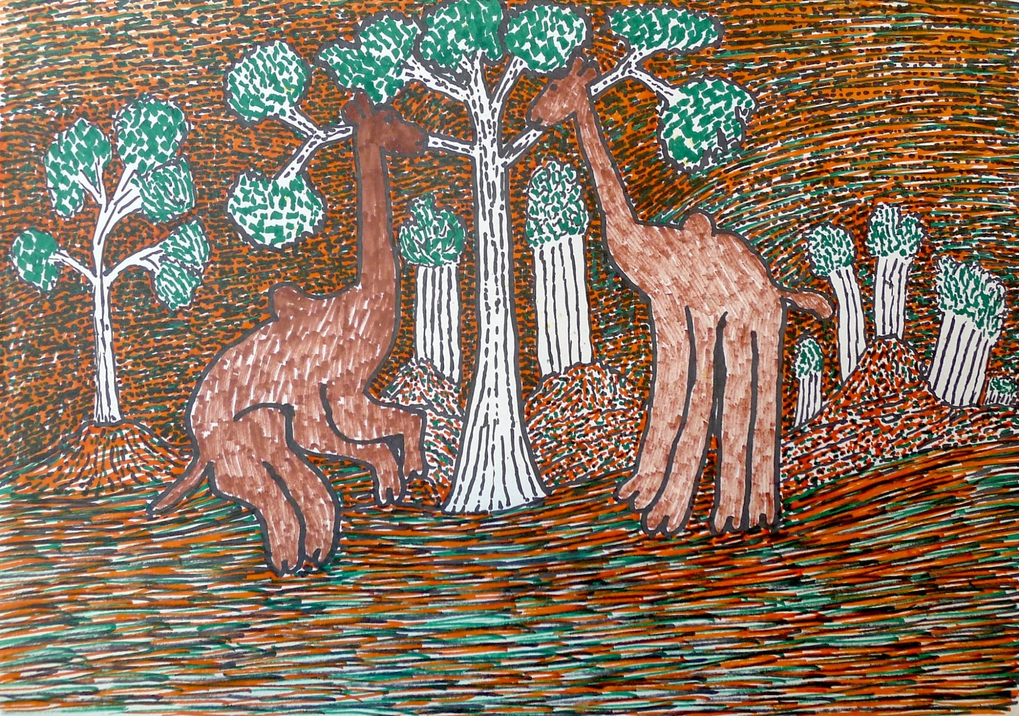 Jimmy Pike, Two camels near Broome