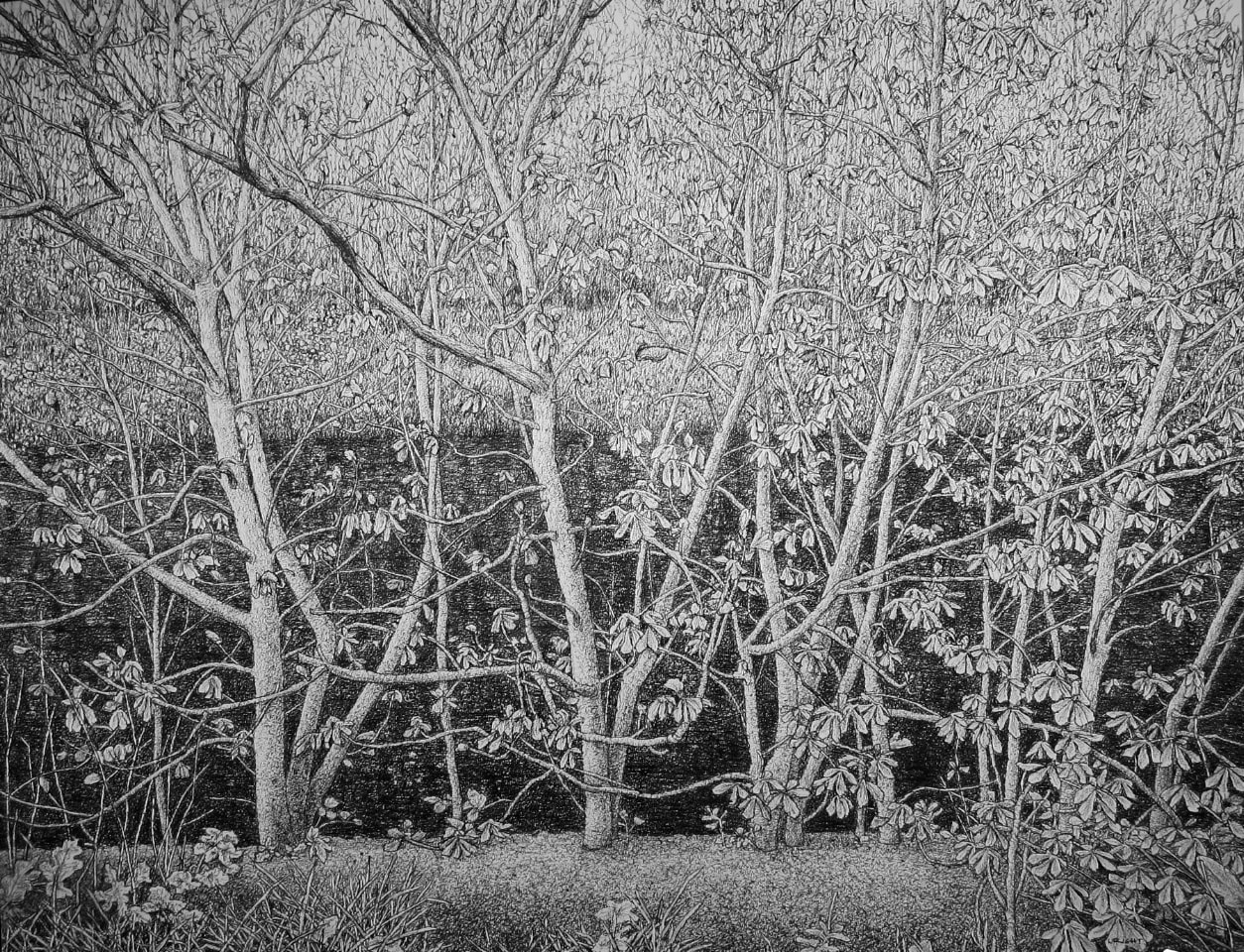 Roy Wright, Signs of Spring, 2015