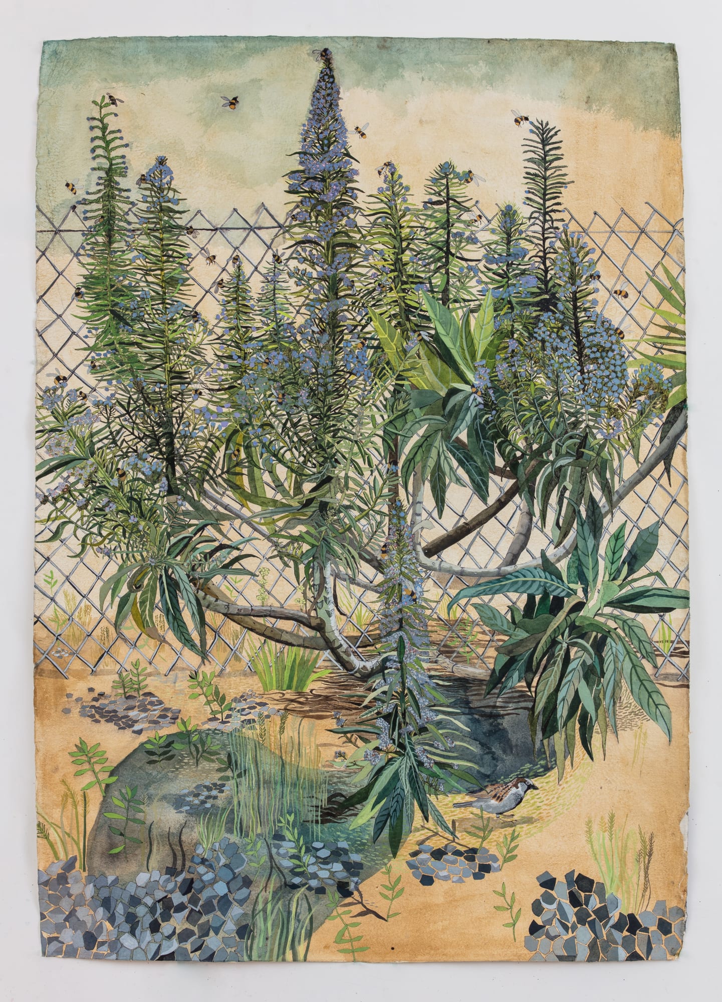Sophie Charalambous, Echiums with Metal Fence 2021 0x140cm watercolour and gouache on khadi paper, 2021