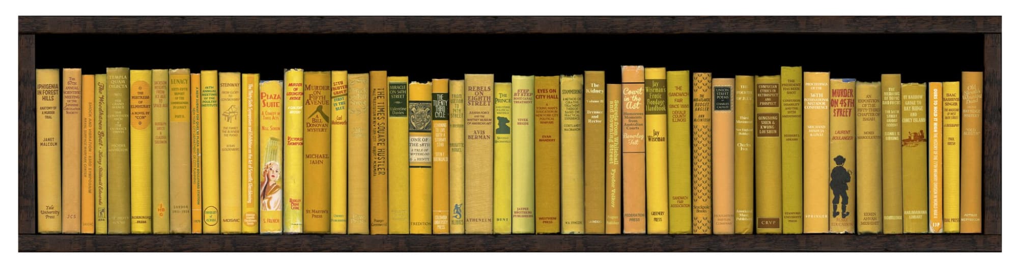 Phil Shaw, NYC Subway: Let's Take the R Train, 2013