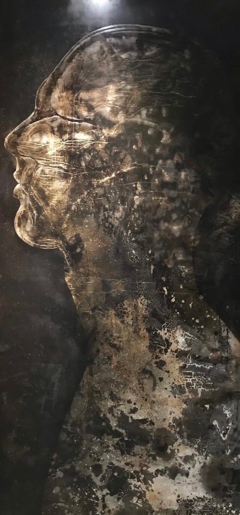 Luke Edgar, Aging Scan, 2021