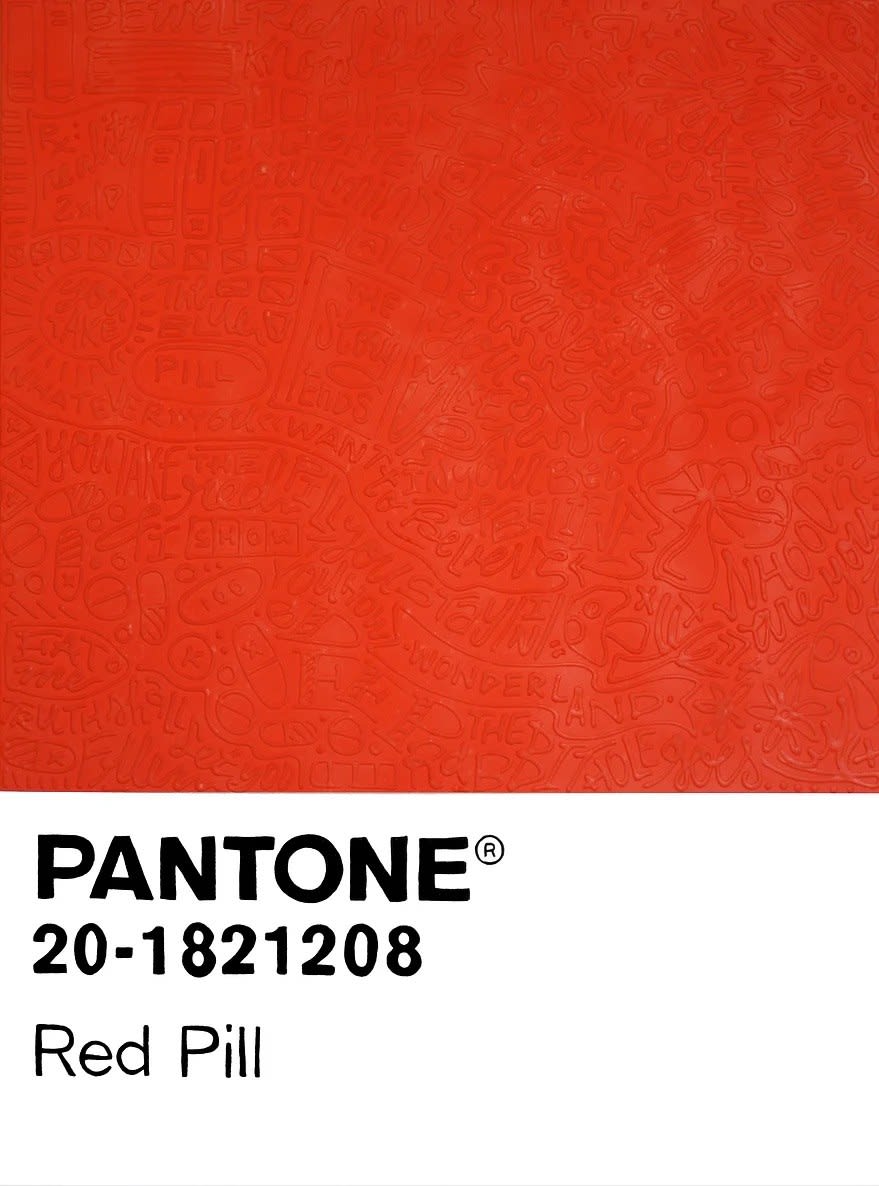 Cayla Birk, Red Pill, 2022