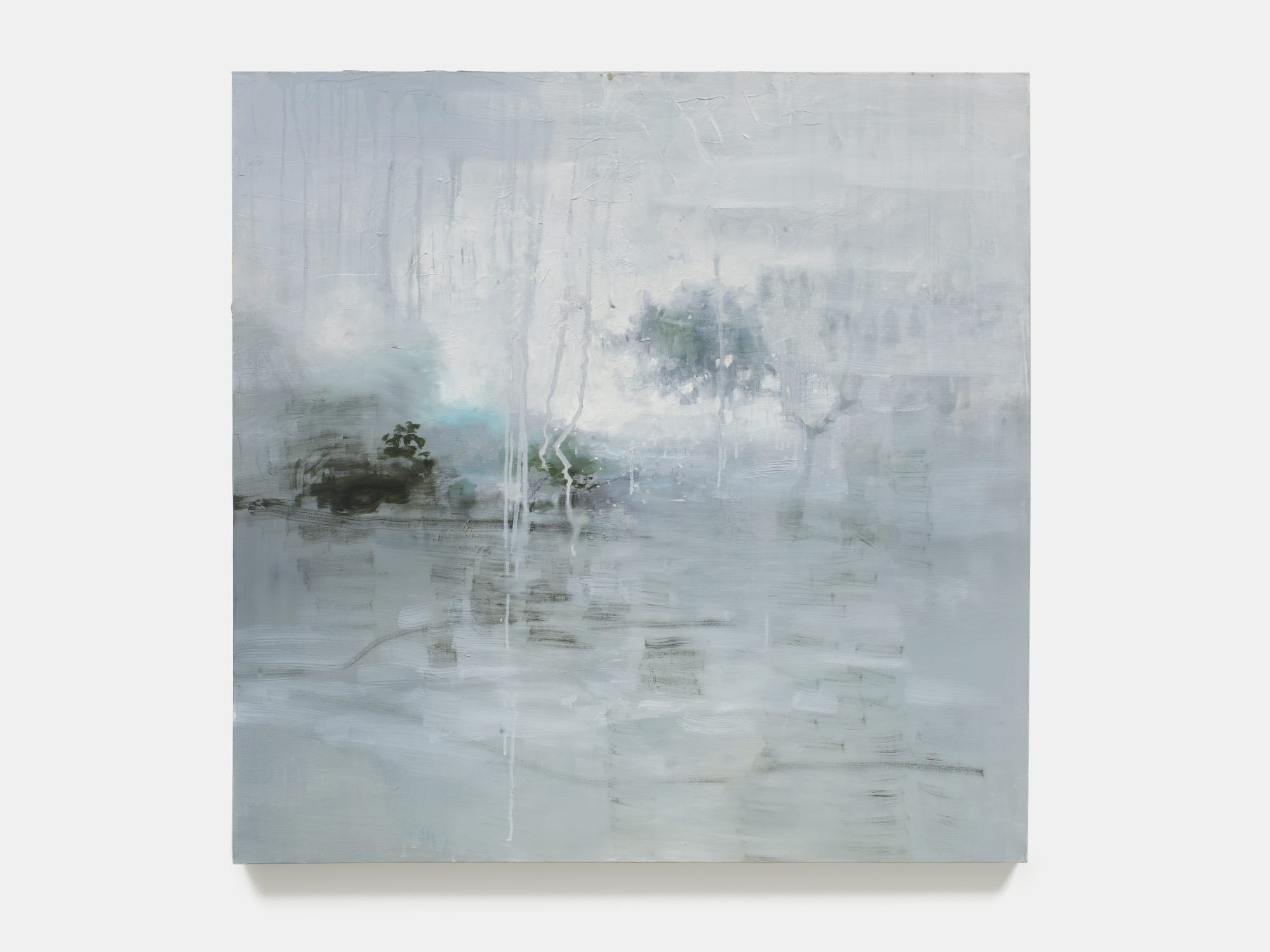 Yang Kailiang, Letztes Jahr, 2012