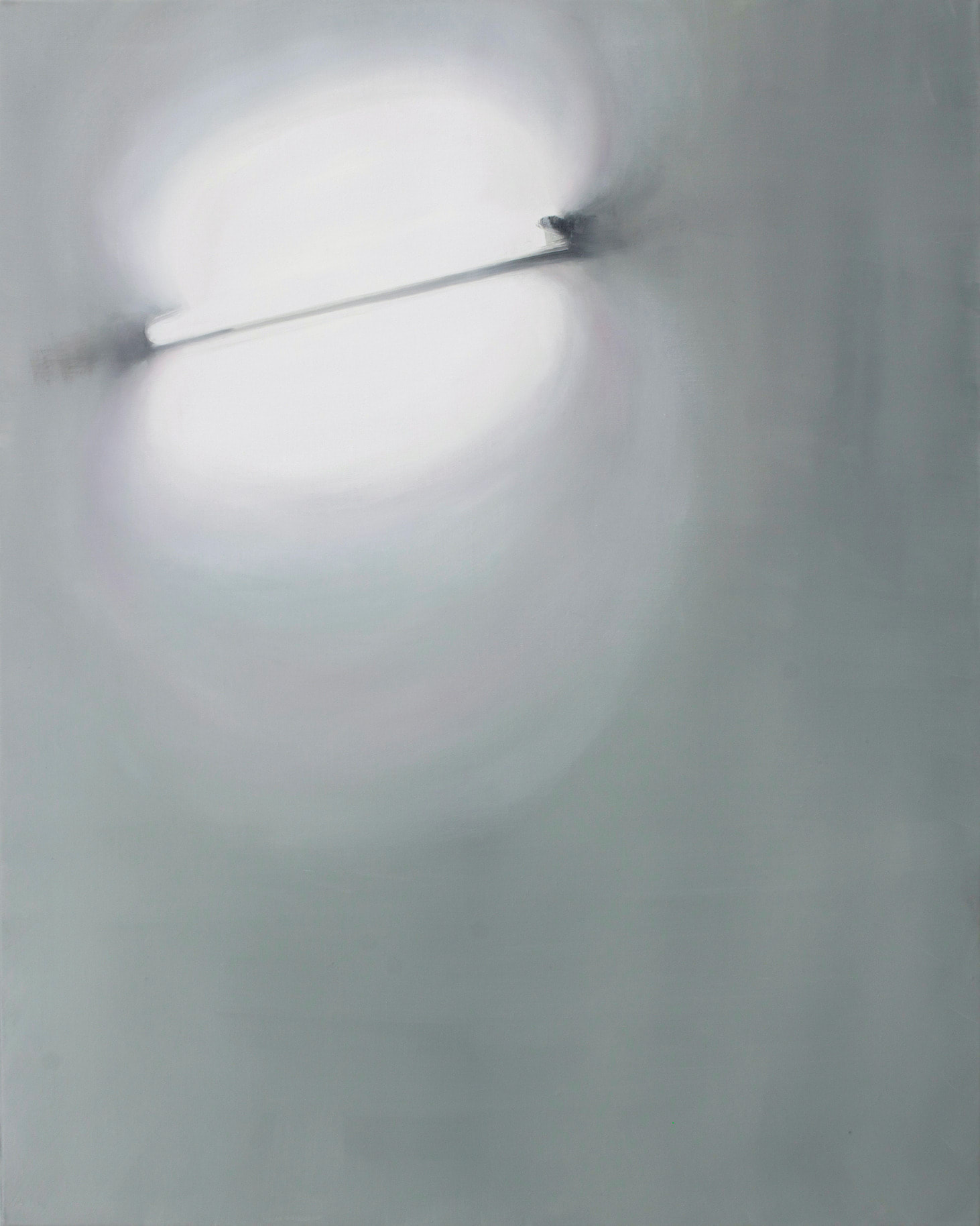 Miwa Ogasawara, neon 2, 2013