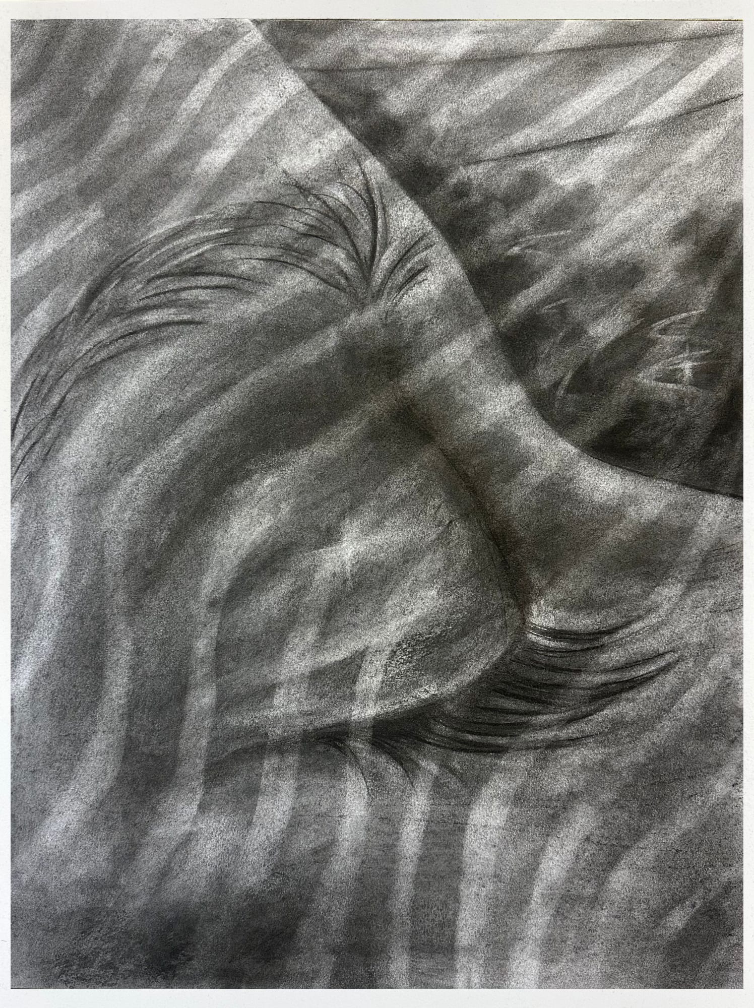 Megan Menzies, Train Dreams, 2024