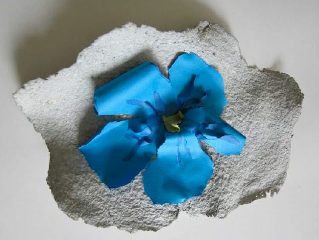 Lili DUJOURIE, Ballade - Linum, 2011