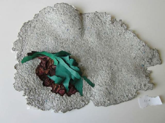 Lili DUJOURIE, Ballade - Nuits de Young, 2011