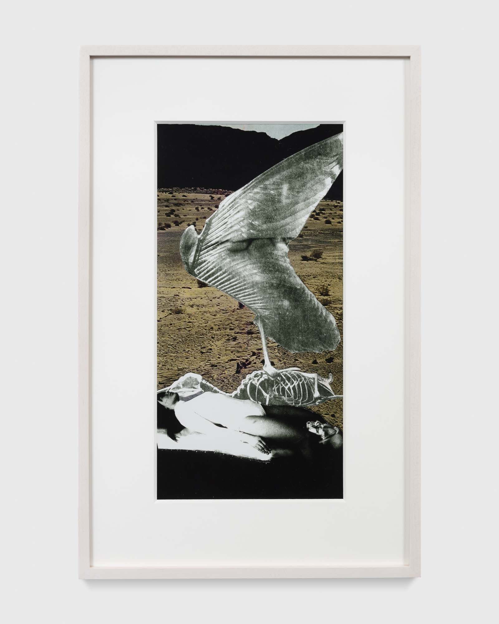 Penny SLINGER, Leda Legend, 1969/2014